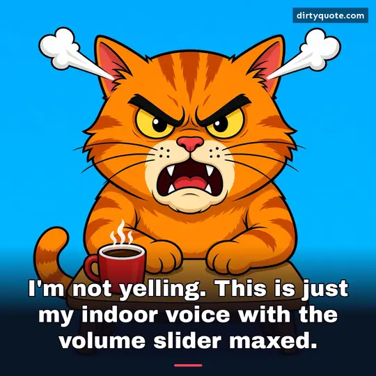 I'm not yelling. This is just my indoor voice with the volume slider maxed.