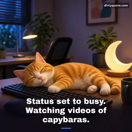 Status set to busy. Watching videos of capybaras.