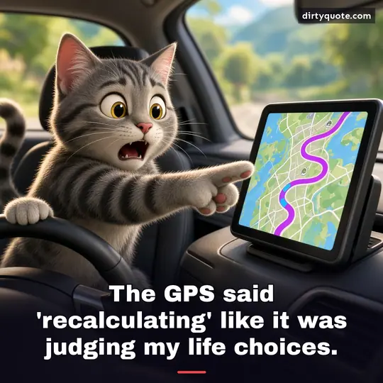 The GPS said 'recalculating' like it was judging my life choices.