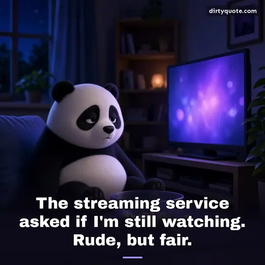 The streaming service asked if I'm still watching. Rude, but fair.
