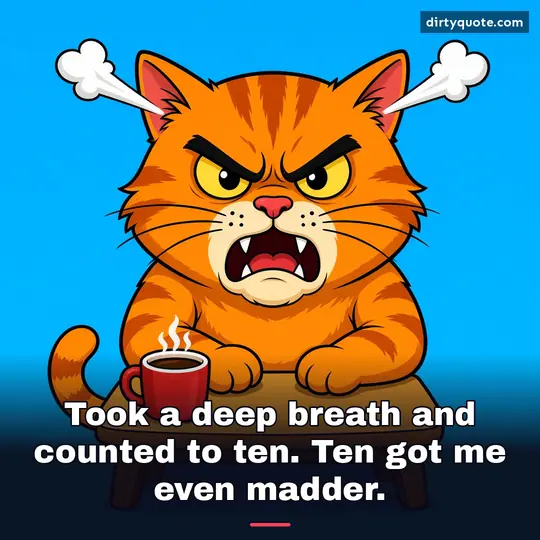 Took a deep breath and counted to ten. Ten got me even madder.